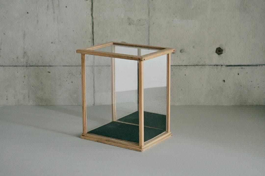 no.68 木枠とガラスのケース＋歯の石膏　セット販売　年始価格