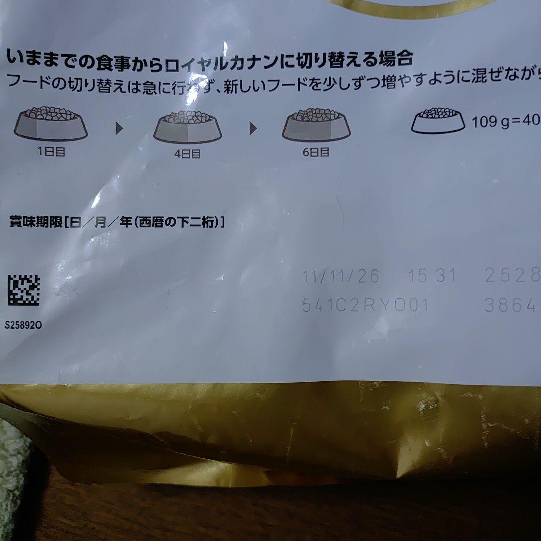  CANIN キング チャールズ スパニエル 6キロ