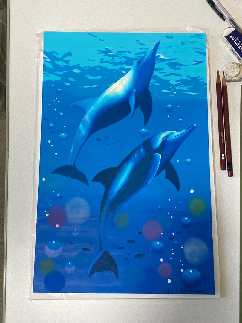 ドルフィン(原画)