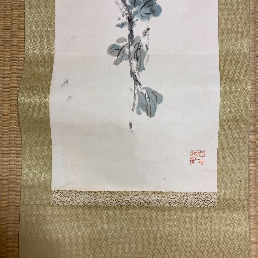 菊の花掛け軸でーす^_^