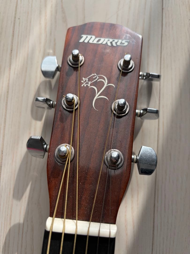 Morris アコースティックギター サンバースト
