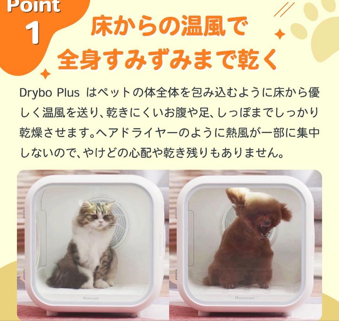 【美品】runpet PD50LE5NPN Drybo Plus