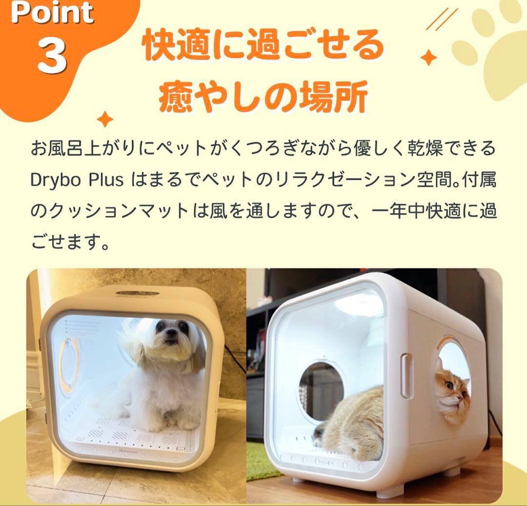 【美品】runpet PD50LE5NPN Drybo Plus