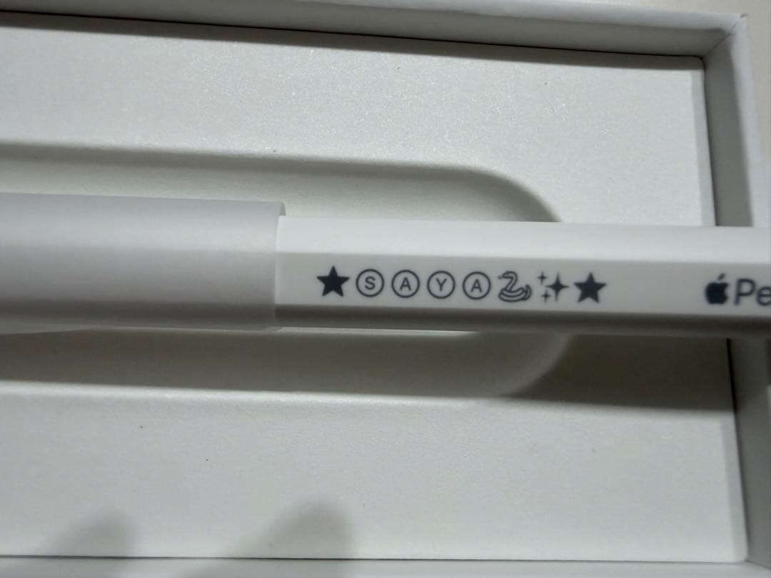 Apple Pencil Pro (M4/M2対応)