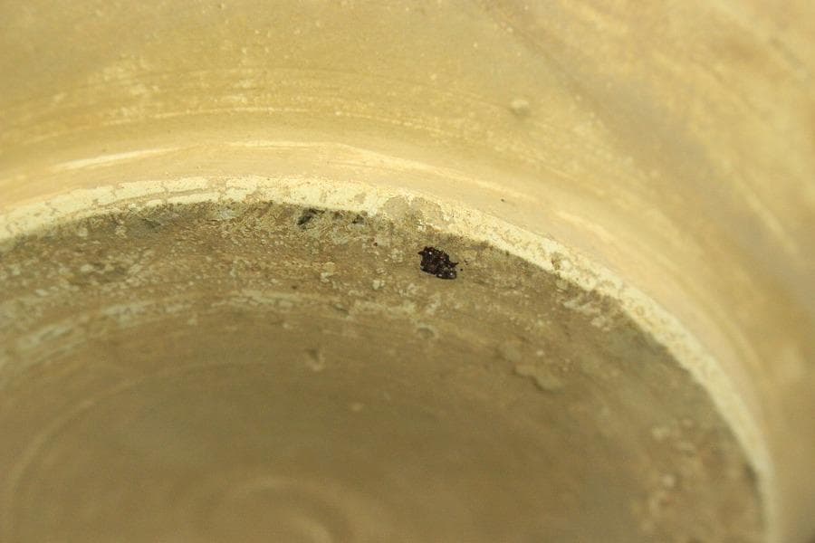 中国美術 唐三彩 蓋壷 高19cm(LC153)