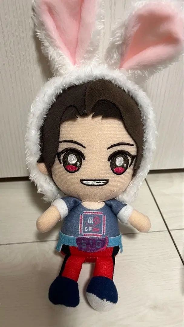 値下げ 仮面ライダーリバイス グッズ 前田拳太郎ぬいぐるみ （日向亘）