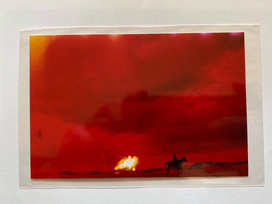 マーク・ボスウィック　100部限定　アートブック 貴重　オリジナルプリント付