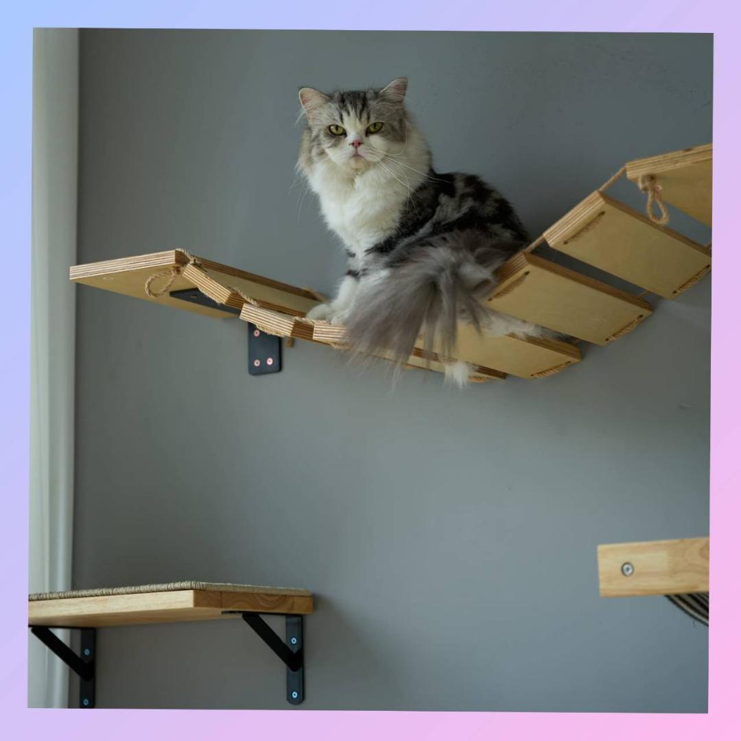 木製 吊り橋 シンプル ステップ キャットウォーク