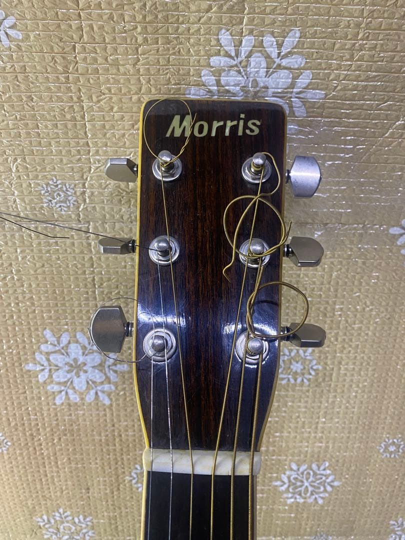 Morris W-30L アコースティックギター　モーリス