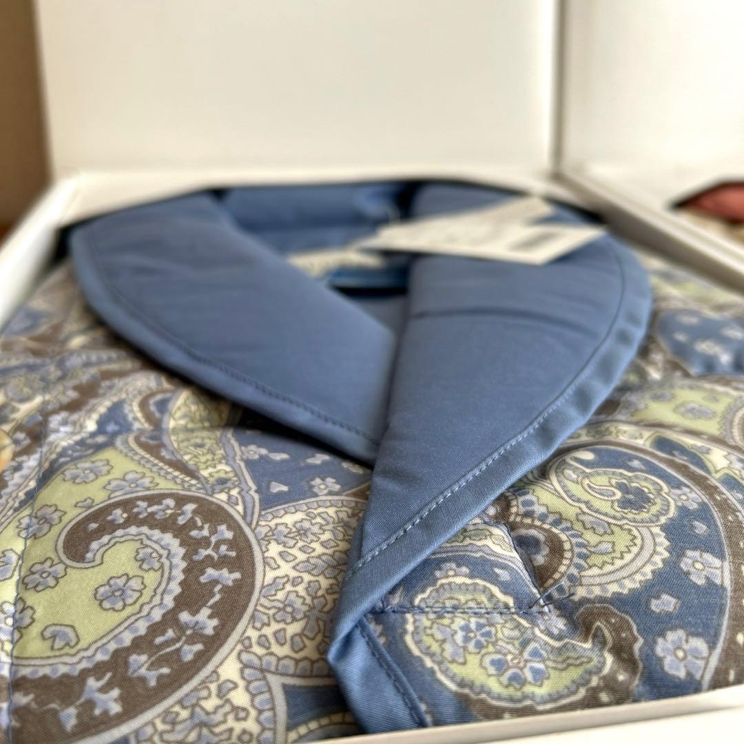 【未使用品】CELINE　羽毛肩当て　ペアセット　ダウンフェザー　西川産業日本製