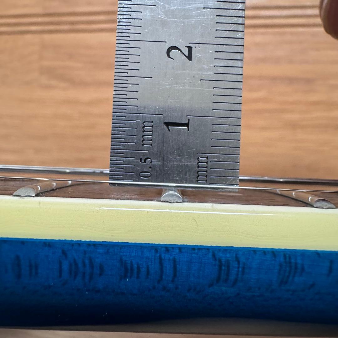 FERNANDES APG-55S サスティナー