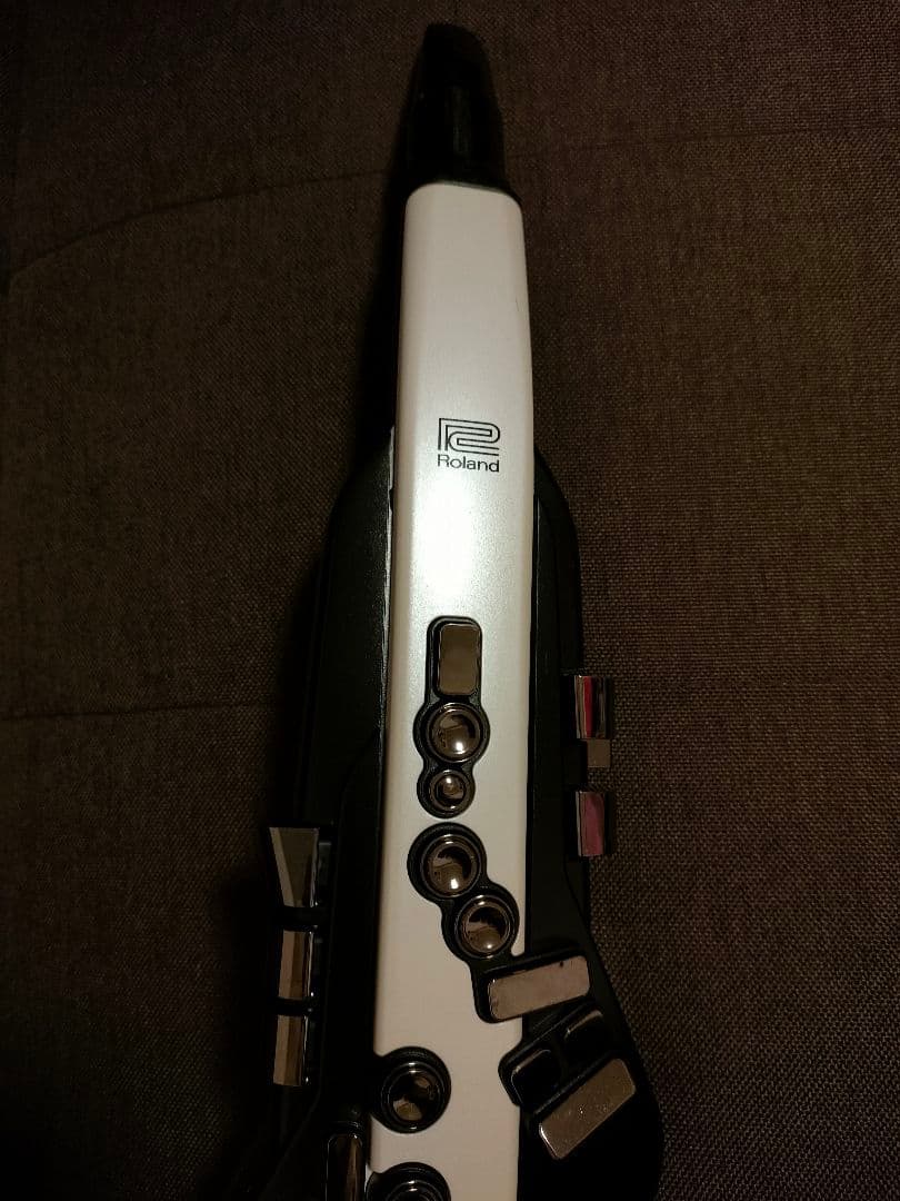 管楽器・吹奏楽器 Roland Aerophone AE-20 Wind Instrument