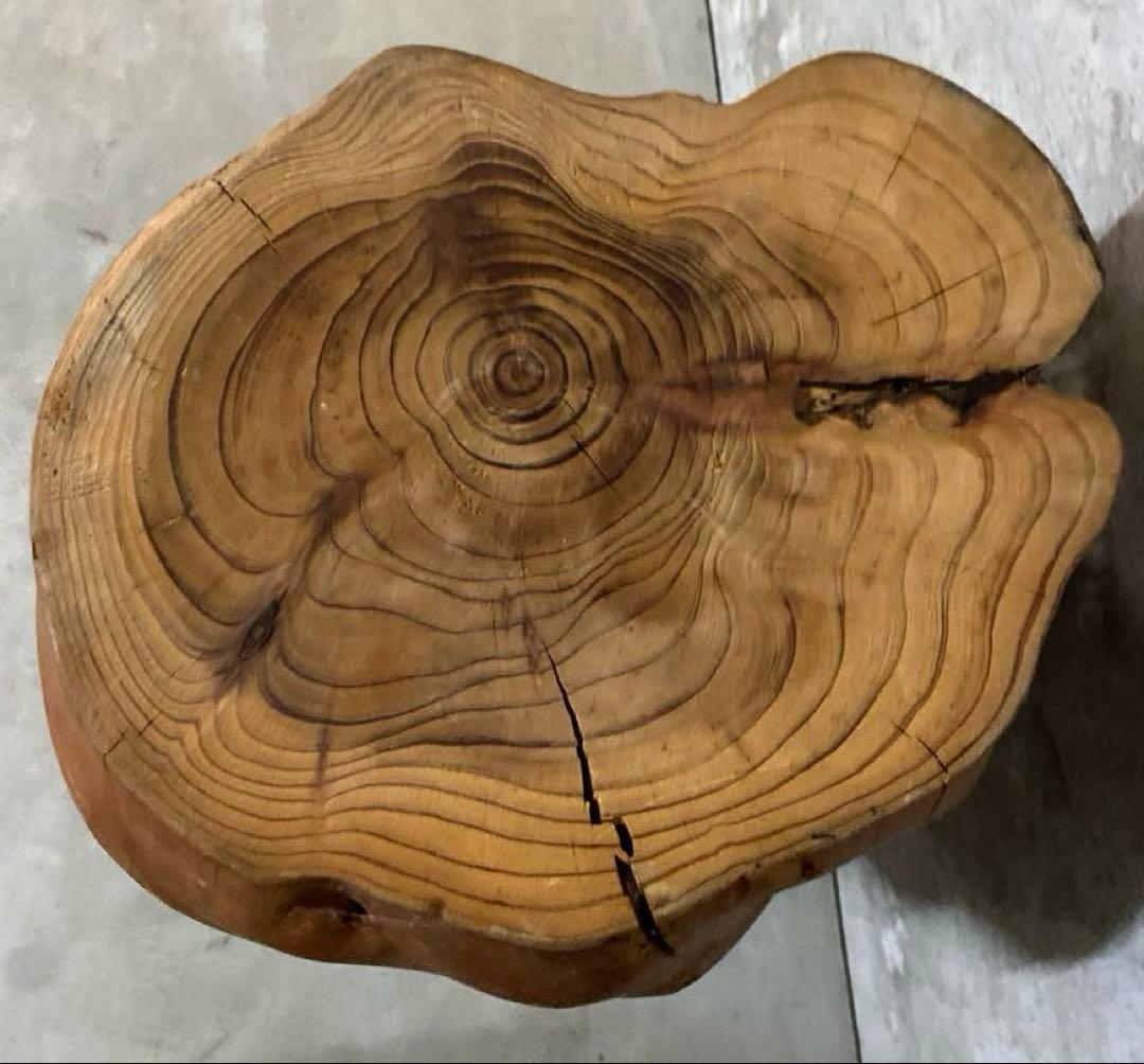 N3299 天然木 切り株 丸太 置物台
