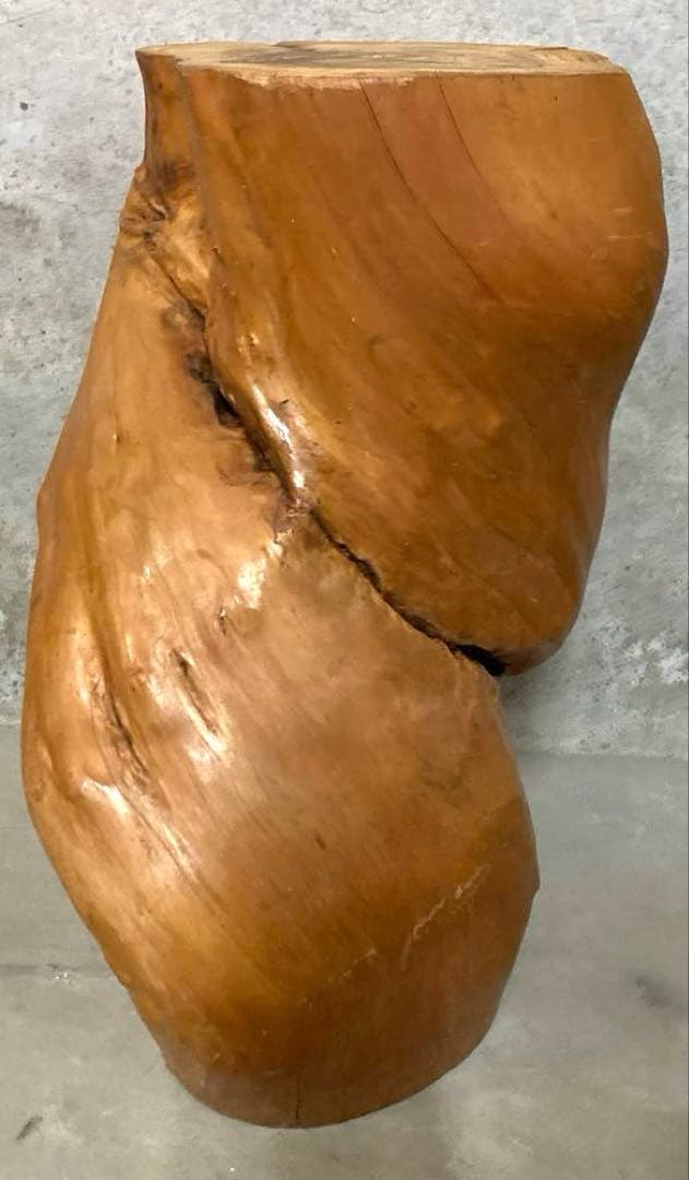N3299 天然木 切り株 丸太 置物台