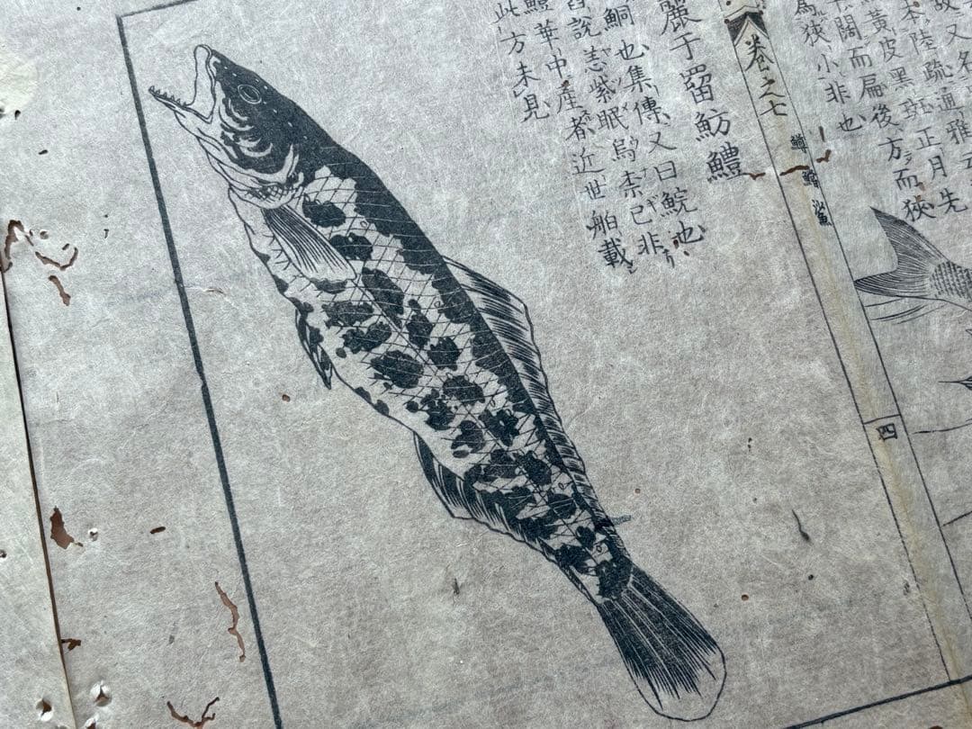 スイレン様 リクエスト 4点 まとめ商品