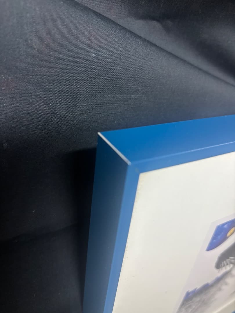 ラビンドラ・ダンクス 　猫その２ 1月限定価格！