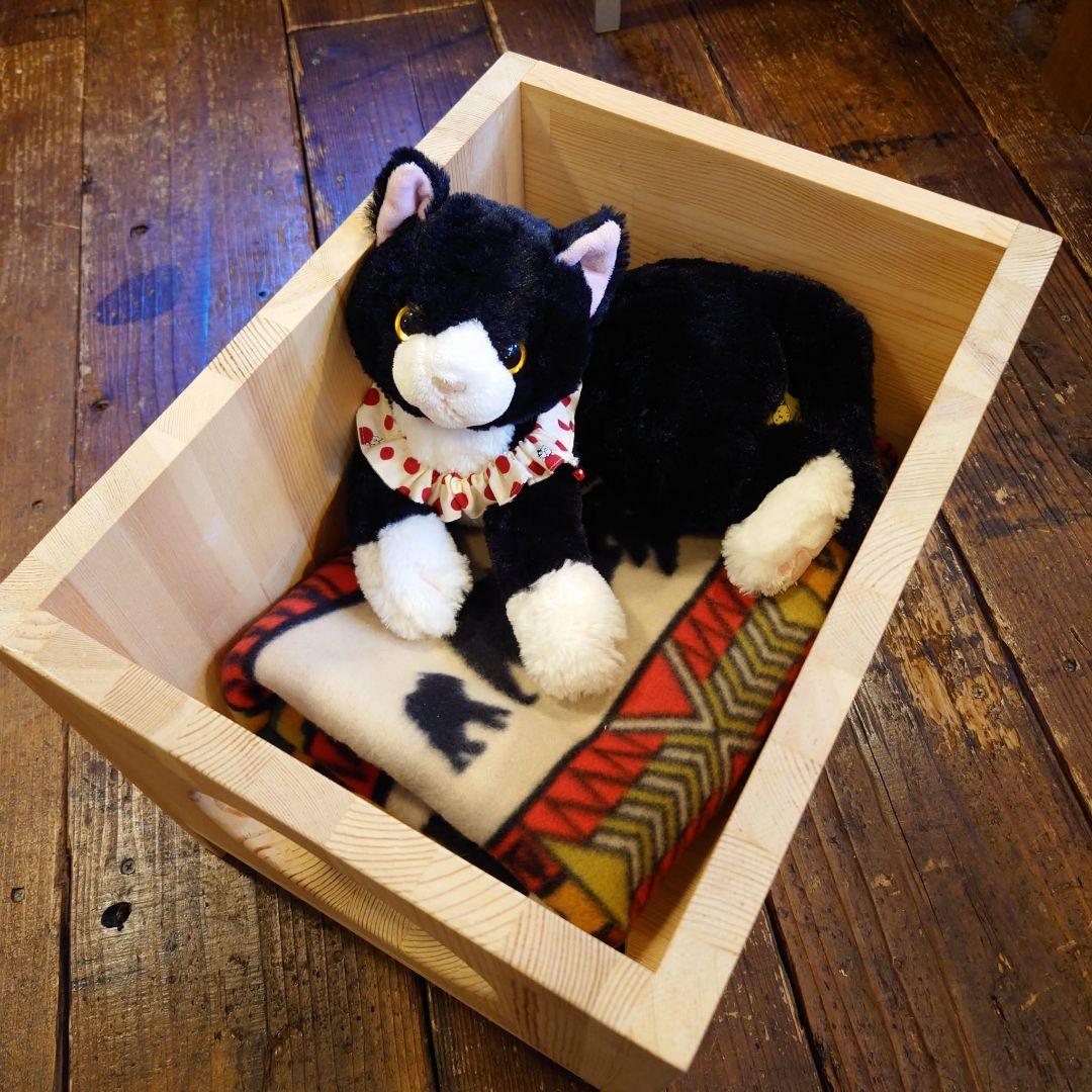 キャットハウス 猫ベッド リバーシブル DIY シンプルライフ 猫生活