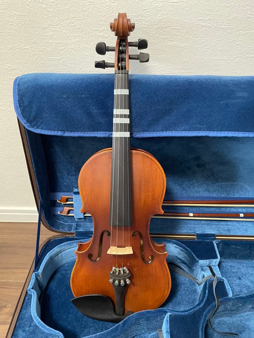 ビオラ　カルロジョルダーノ(VL-1)