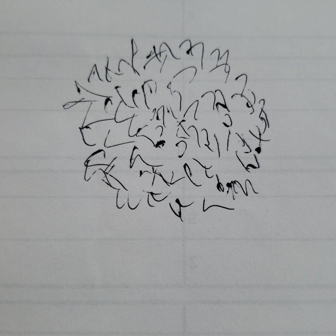 ボールペン画　『華紅想』