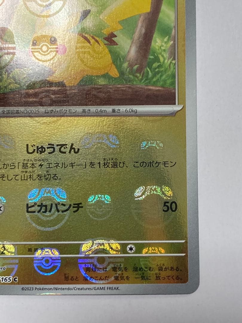 『世界に数枚』　ピカチュウ　マスターボール　顔マスボ　希少