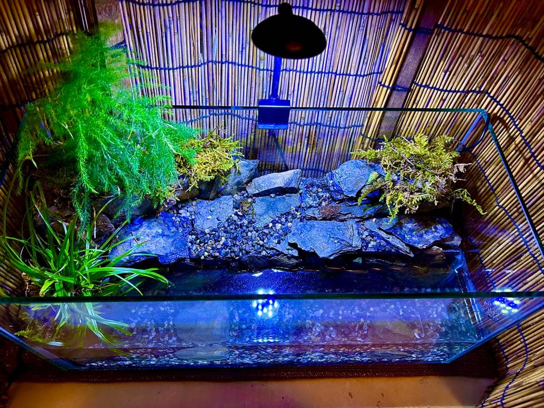 水の流れる滝テラリウム水槽　オールガラス45