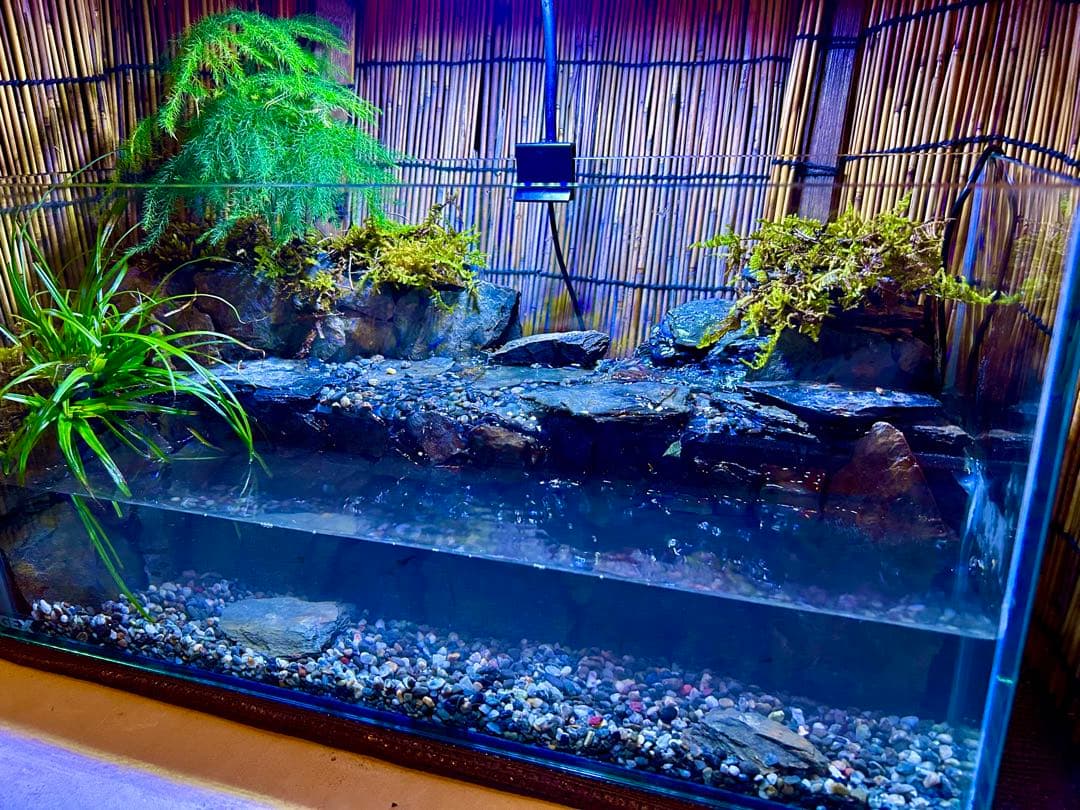 水の流れる滝テラリウム水槽　オールガラス45
