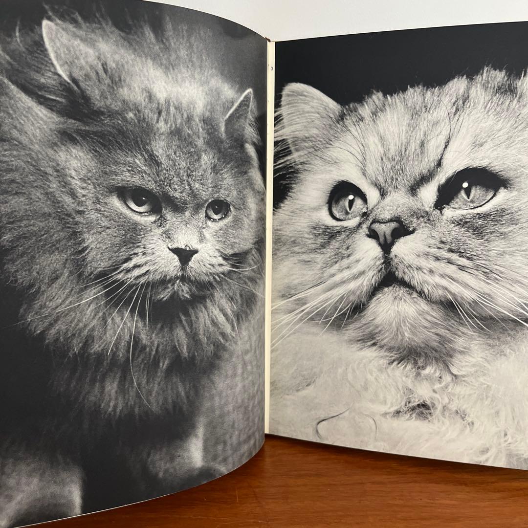 猫 写真集 CHATS HENRI SAAS フランスヴィンテージ