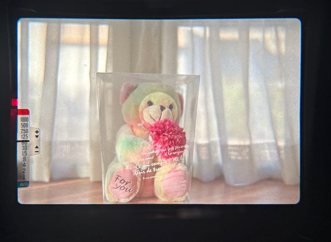 ★ OLYMPUS OM-2N BLACK + 標準レンズ 50mm