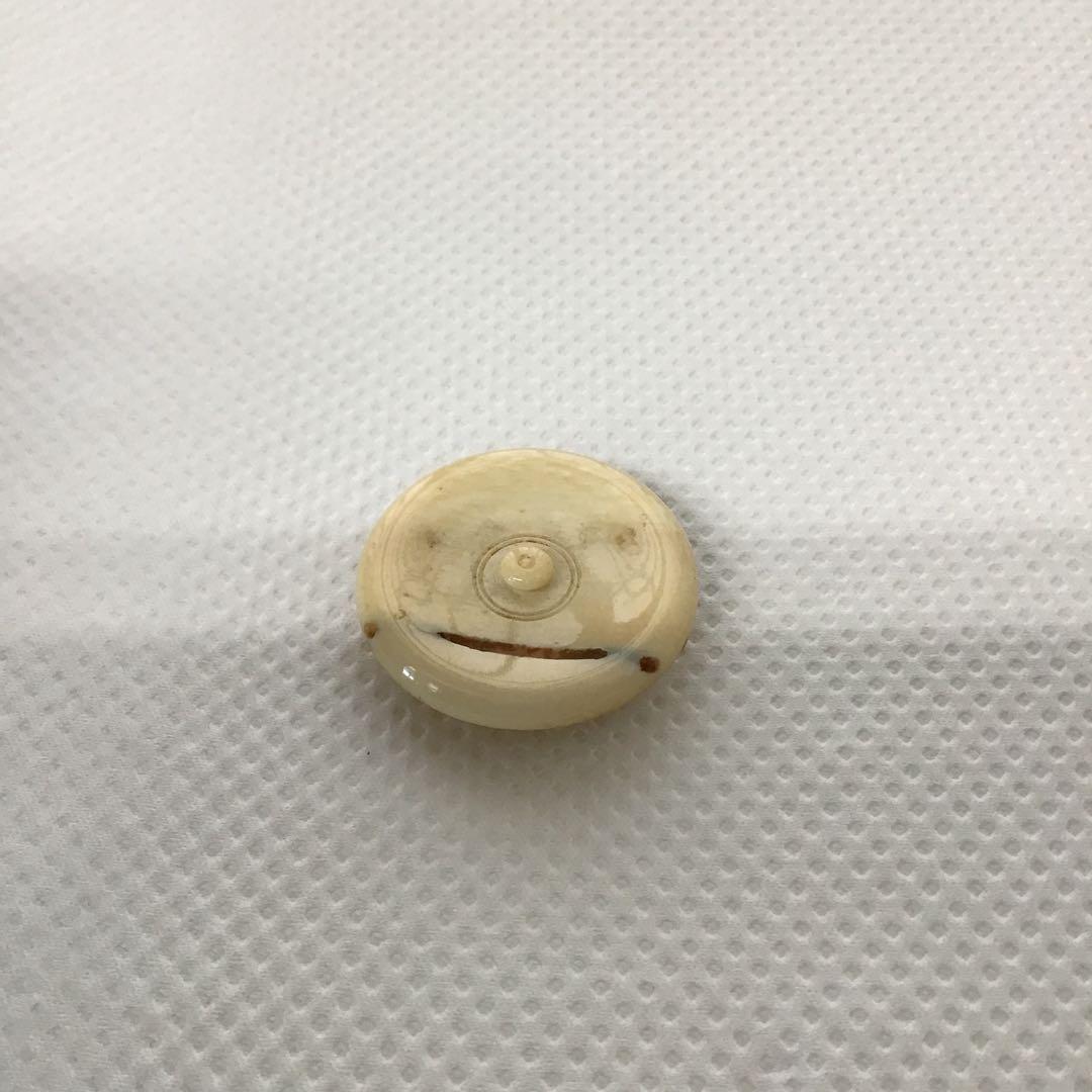 茶道具　筒井順慶茶入写　筒井写瀬戸茶入　佐々木八十二造　栞　共箱　S36CI