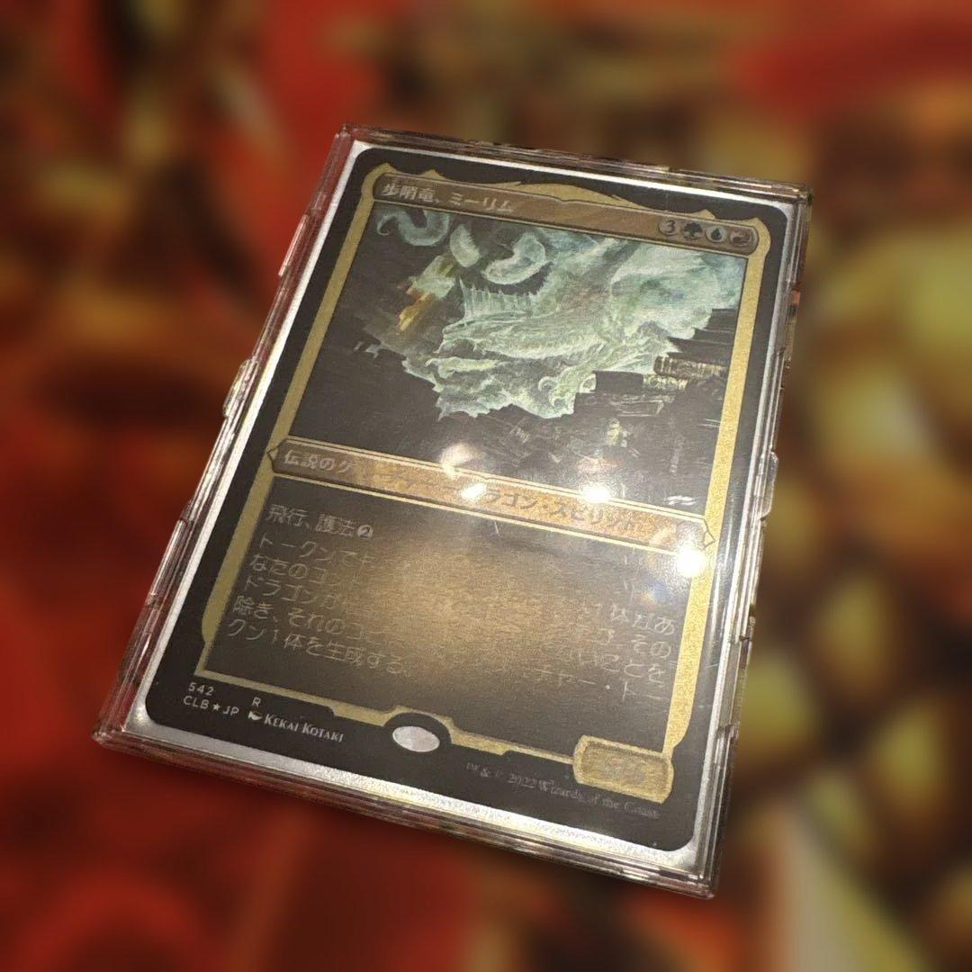 統率者デッキ　歩哨竜、ミーリム　ブラケット3