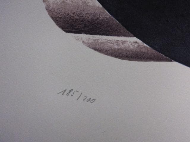 現菅井汲　直筆サイン『MASSE NOIRE　黒のマッス』リトグラフ 1010I