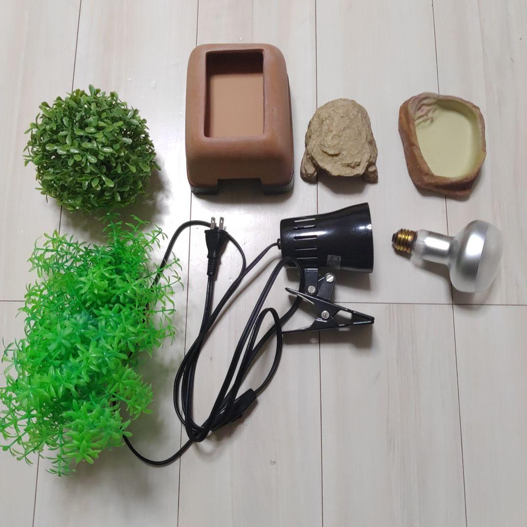 爬虫類・両生類用レイアウト用品セット