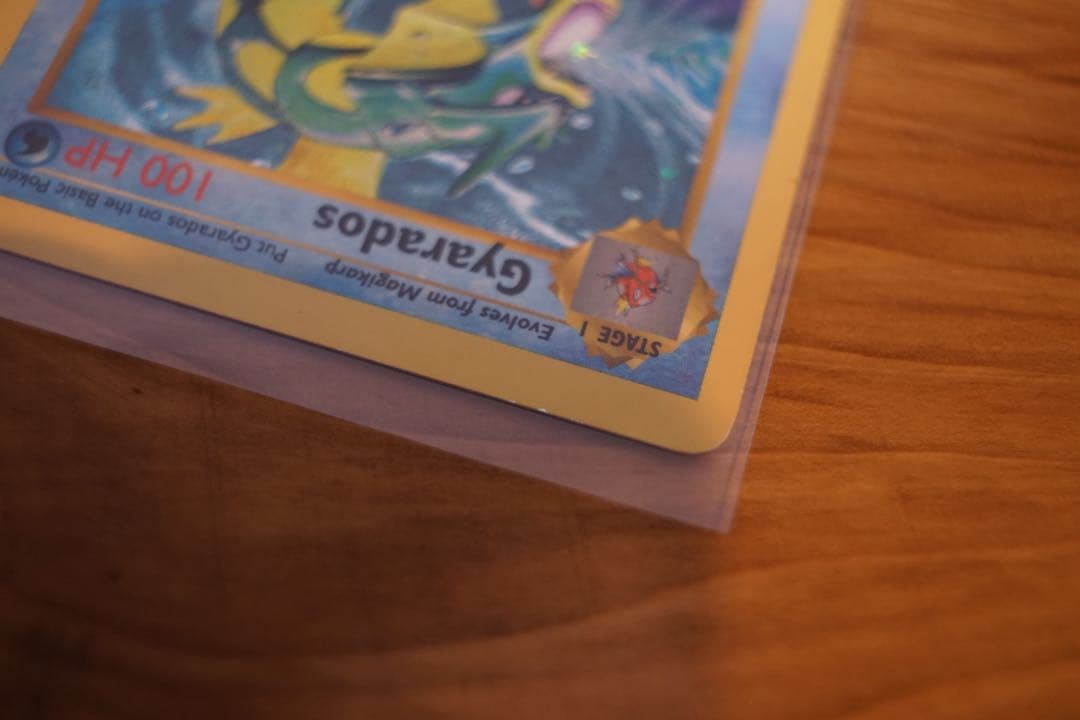 ギャラドス 英語版 旧裏 Gyarados 初版 shadow less