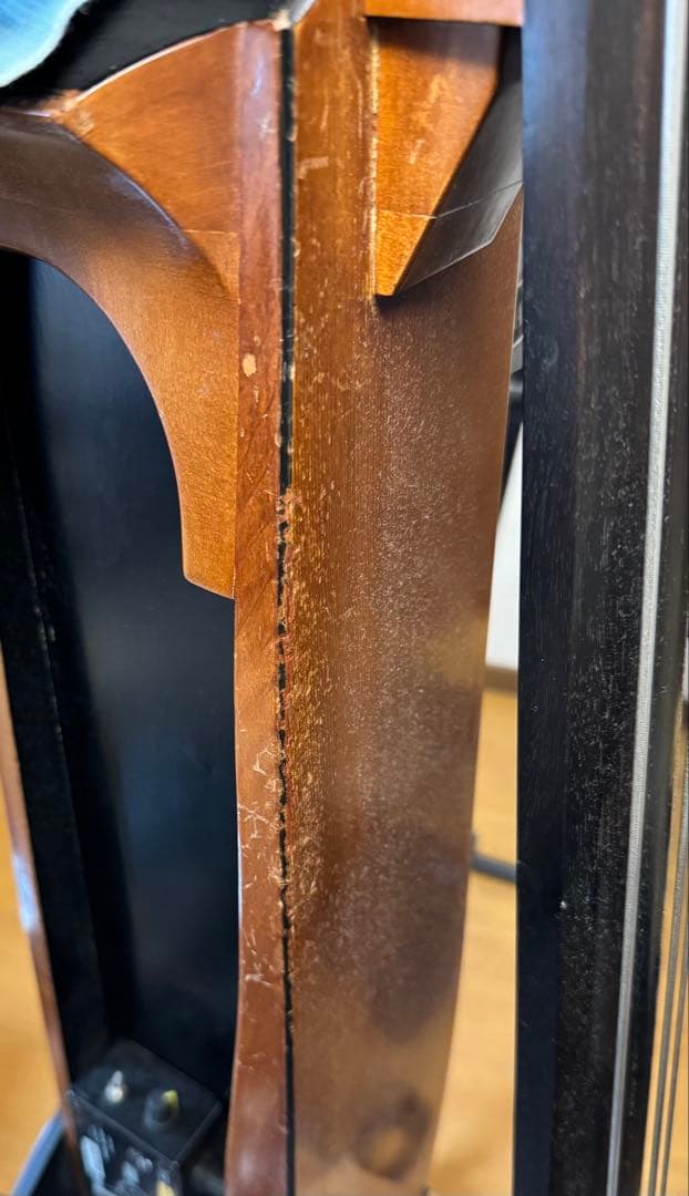 ベース Alter Ego Acoustic Line Figaro