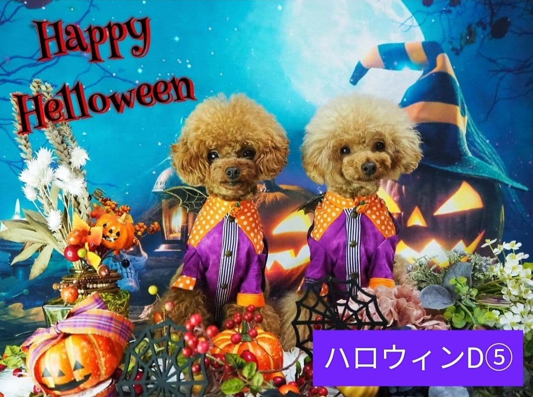 背景布夏BA④　ペット撮影用フォトブース　向日葵　ヒマワリ　トリミングチョーカー