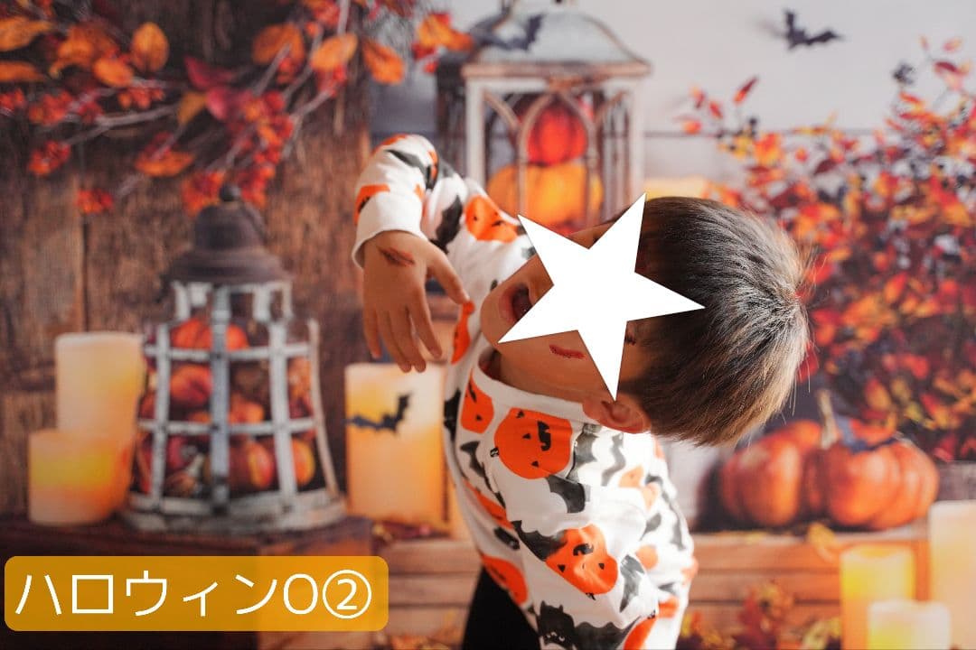 背景布夏BA④　ペット撮影用フォトブース　向日葵　ヒマワリ　トリミングチョーカー