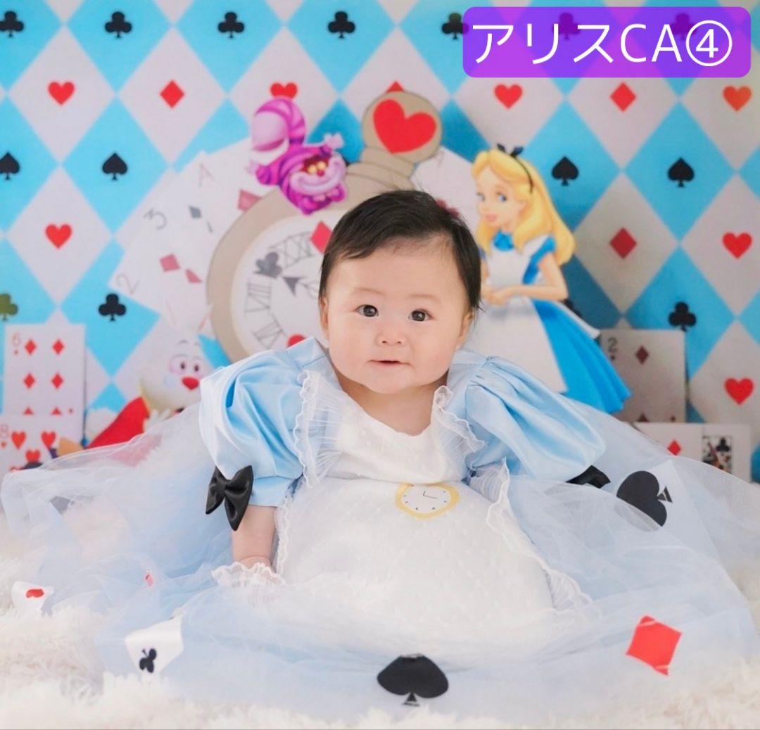 背景布夏BA④　ペット撮影用フォトブース　向日葵　ヒマワリ　トリミングチョーカー