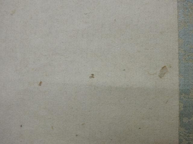 軸　鈴木百年　双松図　保存箱　MA669