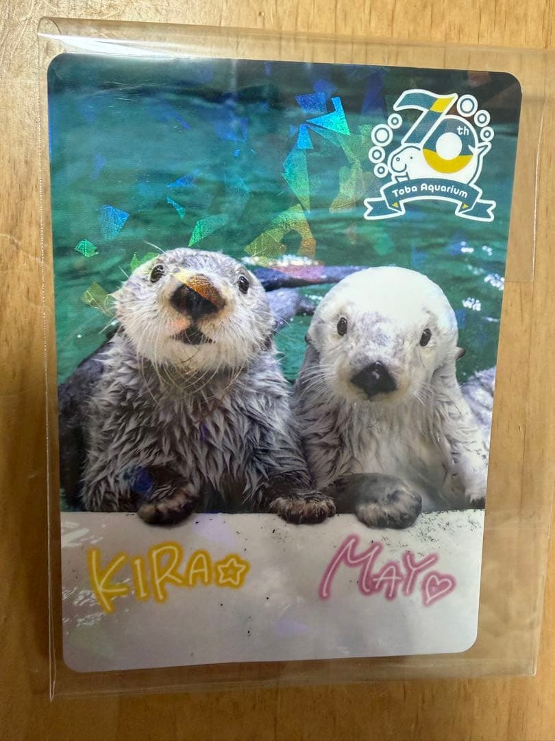 鳥羽水族館　コレクションカード　ラッコ　キラ　メイ