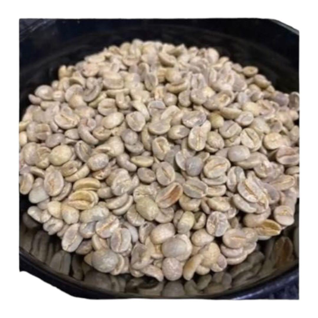 コーヒー　ブラジル　サントス生豆　5kg