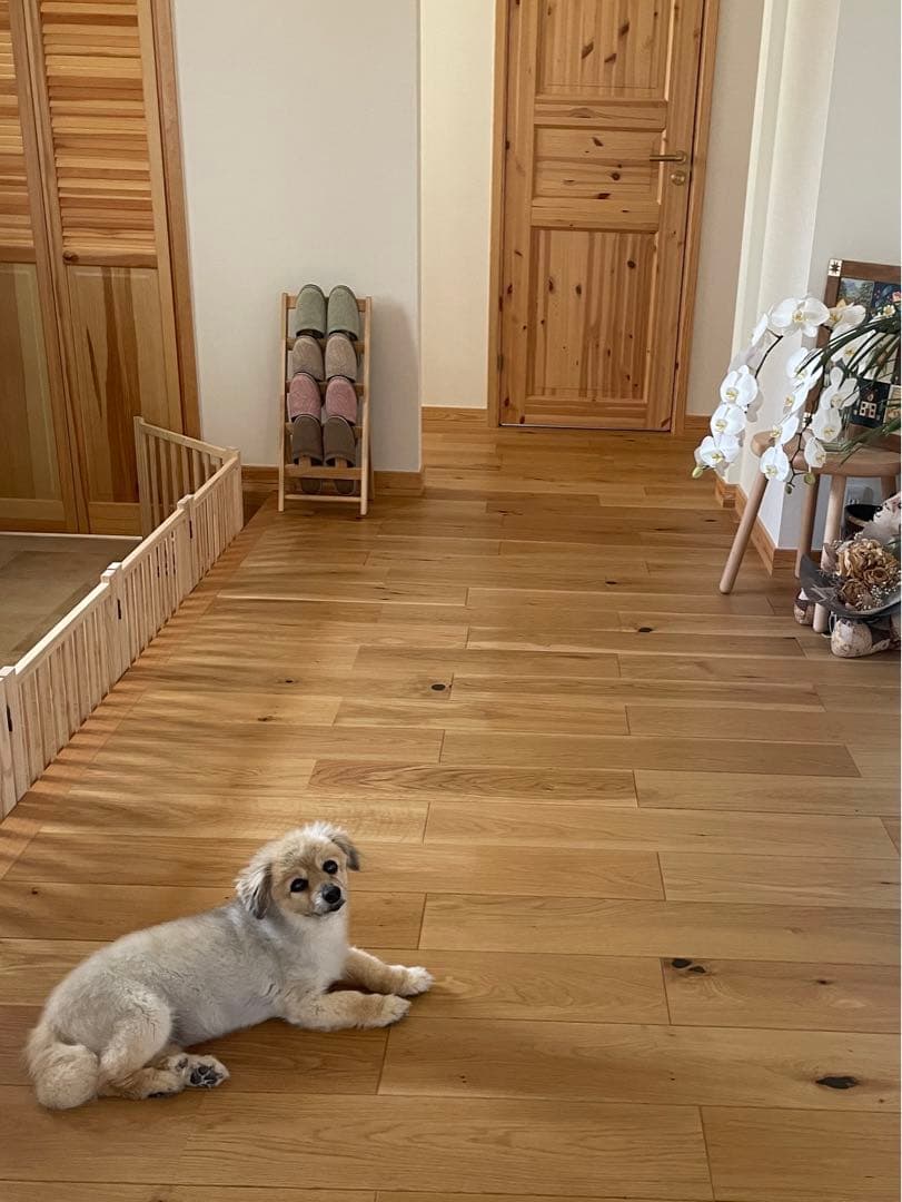 犬用　ペットフェンス　木製　高さ43㎝×長さ約350㎝　自立式　ドッグゲート