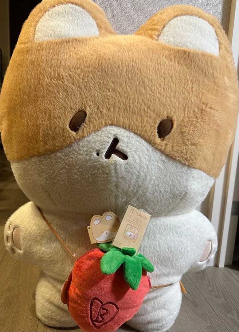 EXO ベッキョン　トレギ　80cm