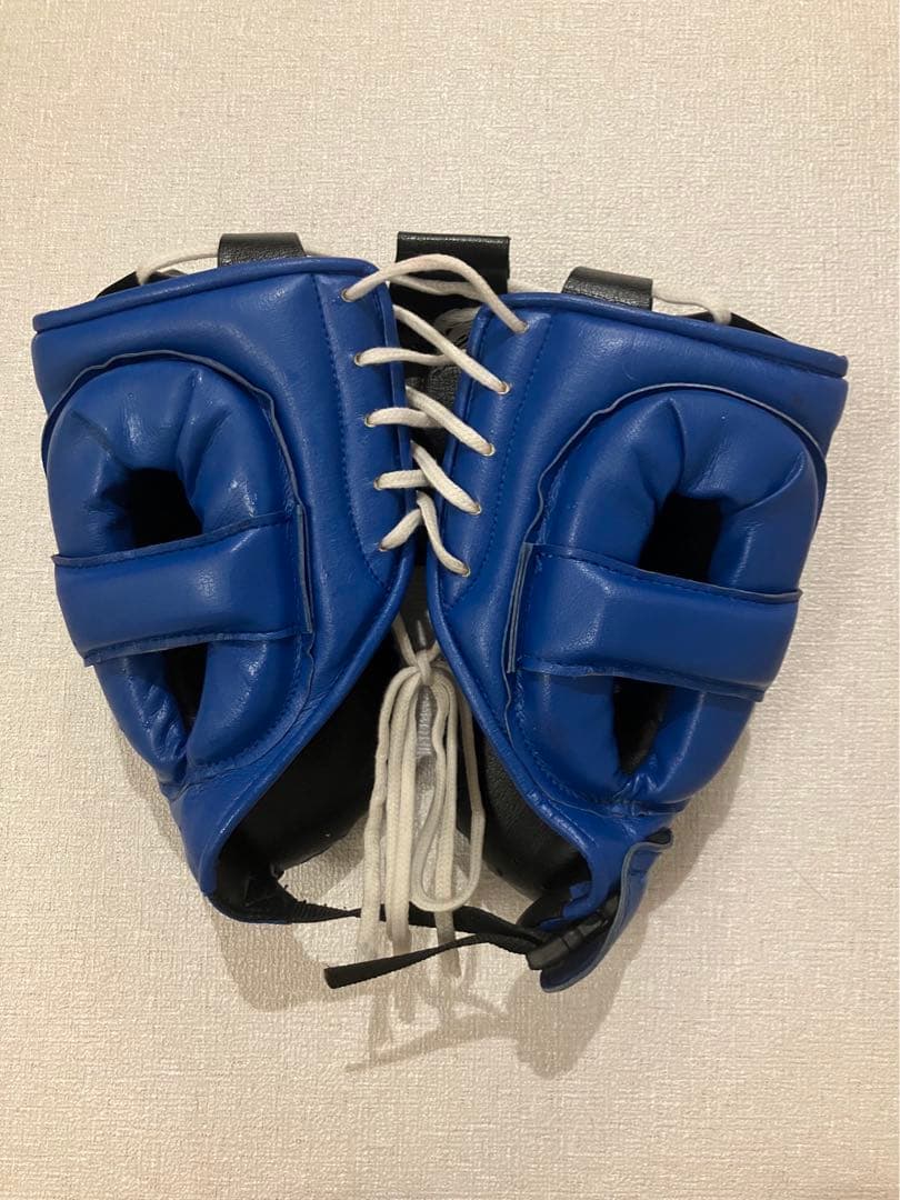 Winning ヘッドギア フルフェイスタイプ ブルー M FG-2900