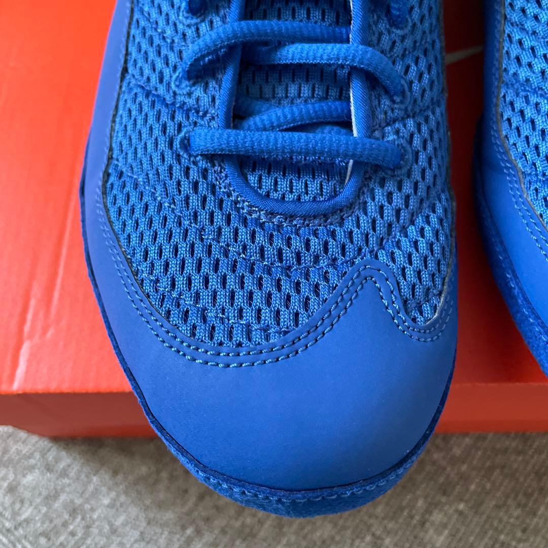 ナイキ・インフリクト [ブルー/シルバー］ 青 ハイカット28.0cm