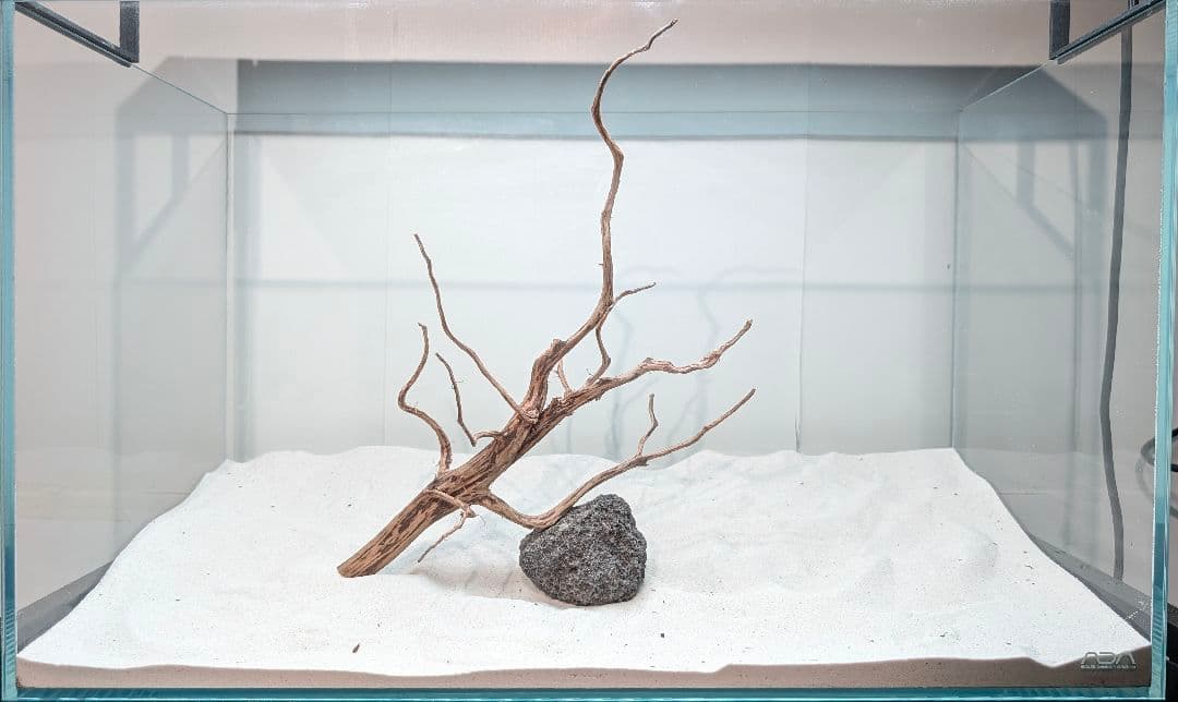 レイアウトセット【LSB016】 スマトラブランチウッド 水槽 まとめ買い対応