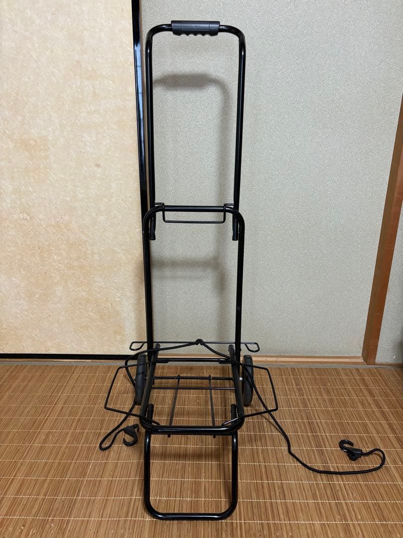 【路上ライブセット】Roland アンプ、マイク、譜面台、キャリーカート