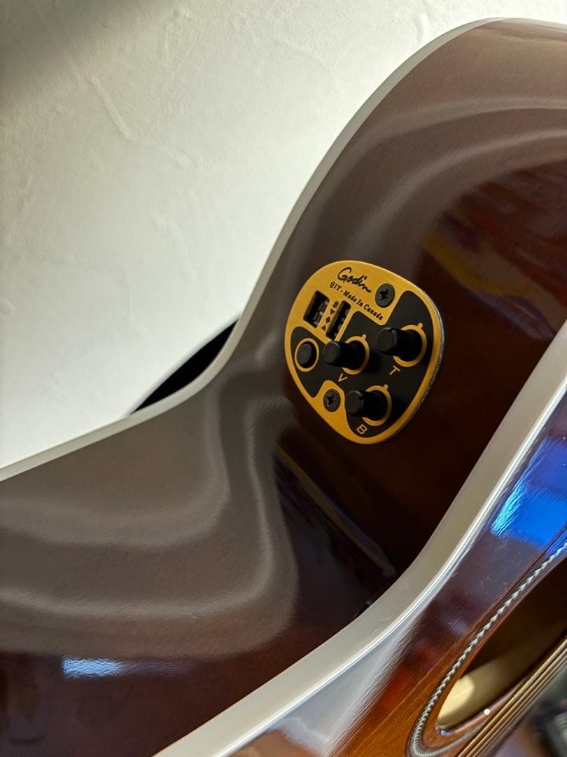 Seagull エレアコ サンバースト