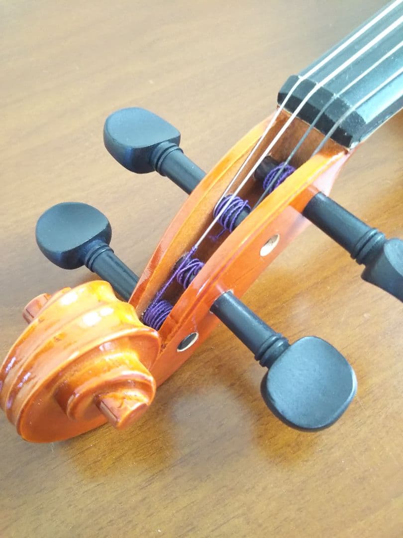ビオラ 40cm
