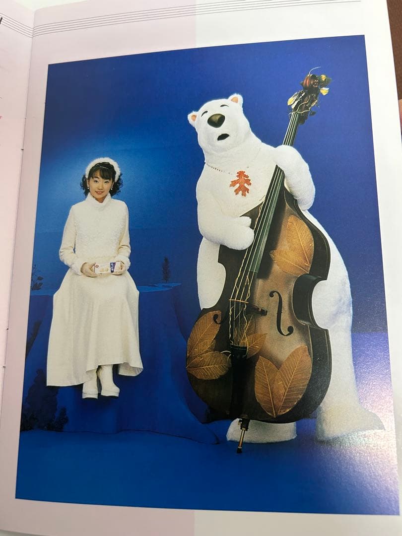 水樹奈々 20th birthday Live パンフレット