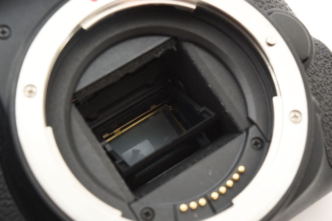 Canon EOS 9000D 標準&望遠&単焦点トリプルレンズセット